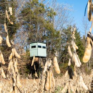 Photo #3 of TBD Upright, Mt Ulla, NC