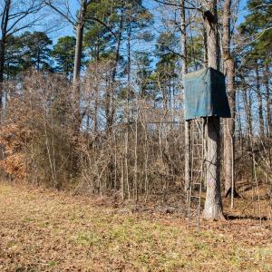 Photo #9 of TBD Upright, Mt Ulla, NC