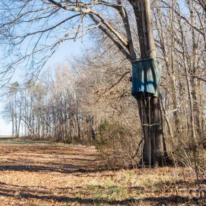 Photo #31 of TBD Upright, Mt Ulla, NC