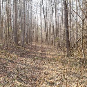 Photo #11 of TBD Upright, Mt Ulla, NC
