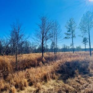 Photo #9 of Woodbine, Cheraw, SC