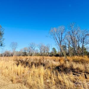 Photo #6 of Woodbine, Cheraw, SC