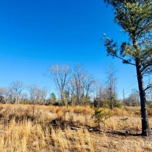 Photo #7 of Woodbine, Cheraw, SC