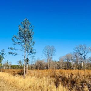 Photo #8 of Woodbine, Cheraw, SC