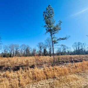 Photo #4 of Woodbine, Cheraw, SC