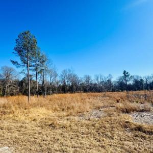 Photo #2 of Woodbine, Cheraw, SC