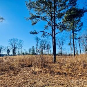 Photo #8 of Thistledown, Cheraw, SC