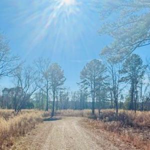 Photo #4 of Thistledown, Cheraw, SC