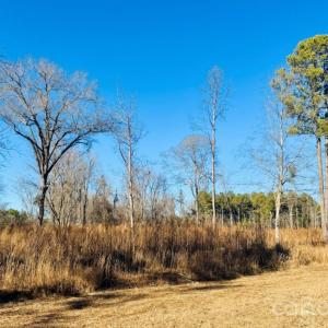 Photo #10 of Thistledown, Cheraw, SC