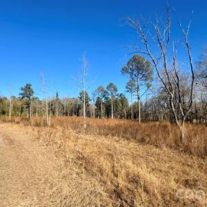 Photo #6 of Thistledown, Cheraw, SC