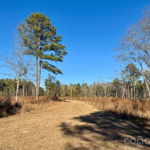 Photo #9 of Thistledown, Cheraw, SC