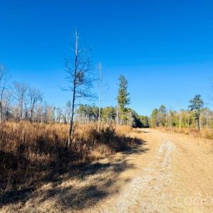 Photo #5 of Thistledown, Cheraw, SC