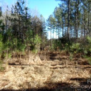 Photo #4 of 41 Ac Hwy 55, Clover, SC