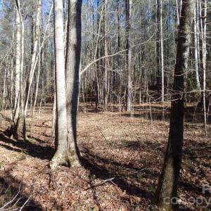 Photo #8 of 42 Ac Hwy 55, Clover, SC