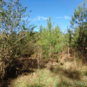 Photo #11 of 42 Ac Hwy 55, Clover, SC