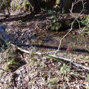 Photo #8 of 42 Ac Hwy 55, Clover, SC