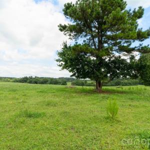 Photo #21 of Lucy Short Cut, Marshville, NC