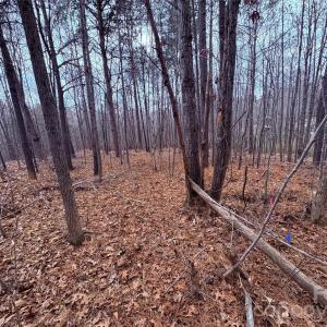 Photo #8 of 000 Vacant NC 138, Norwood, NC