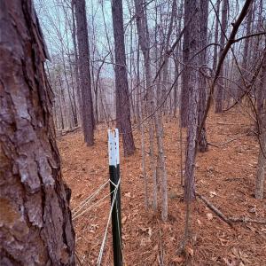 Photo #6 of 000 Vacant NC 138, Norwood, NC