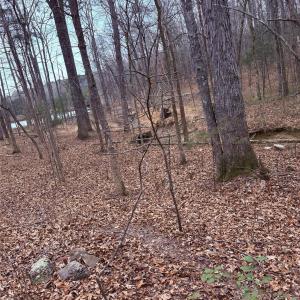 Photo #4 of 000 Vacant NC 138, Norwood, NC