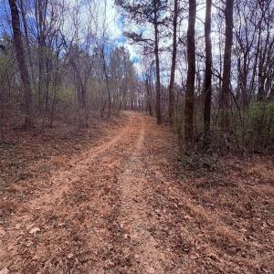 Photo #5 of 000 Vacant NC 138, Norwood, NC