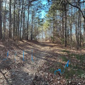 Photo #5 of 38 AC Mountain Gap, Richburg, SC