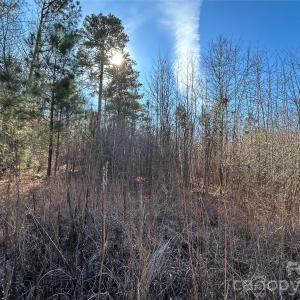 Photo #4 of 38 AC Mountain Gap, Richburg, SC