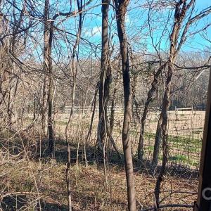 Photo #3 of Potter, Waxhaw, NC