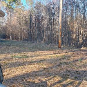 Photo #4 of Potter, Waxhaw, NC