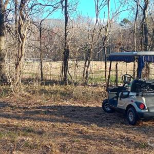 Photo #5 of Potter, Waxhaw, NC