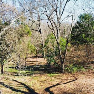 Photo #17 of 113 Stonecrest, Concord, NC