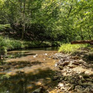 Photo #2 of Pageland, Lancaster, SC