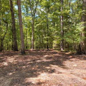 Photo #12 of Pageland, Lancaster, SC