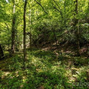 Photo #13 of Pageland, Lancaster, SC