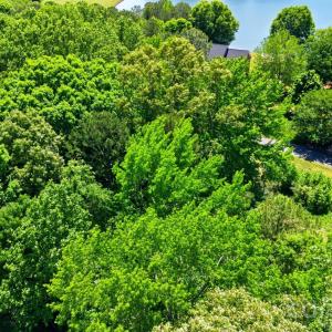 Photo #23 of lot 5 Shoreline, Weddington, NC