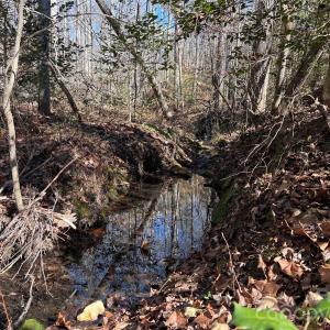 Photo #22 of 996 Splitrail, Clover, SC