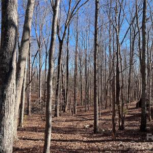 Photo #17 of 996 Splitrail, Clover, SC