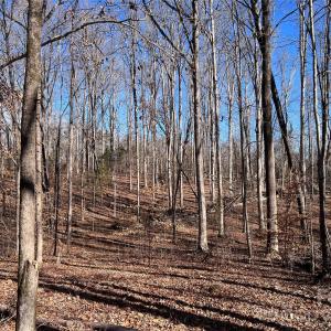 Photo #18 of 996 Splitrail, Clover, SC