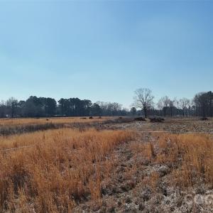 Photo #24 of Division, Fayetteville, NC