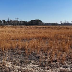 Photo #16 of Division, Fayetteville, NC