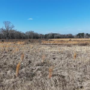 Photo #30 of Division, Fayetteville, NC