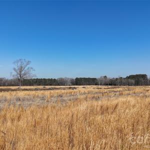 Photo #27 of Division, Fayetteville, NC