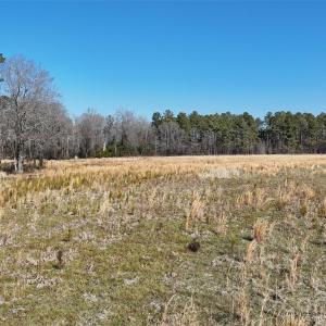 Photo #11 of Division, Fayetteville, NC