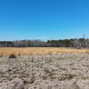 Photo #23 of Division, Fayetteville, NC