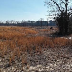 Photo #15 of Division, Fayetteville, NC