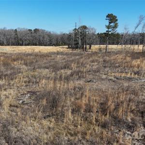 Photo #14 of Division, Fayetteville, NC