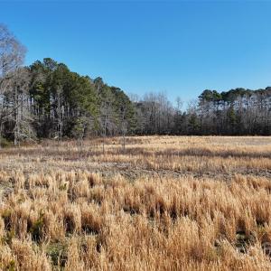 Photo #1 of Division, Fayetteville, NC