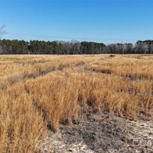 Photo #5 of Division, Fayetteville, NC