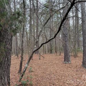 Photo #6 of 6191 Chimney Bluff, Lancaster, SC