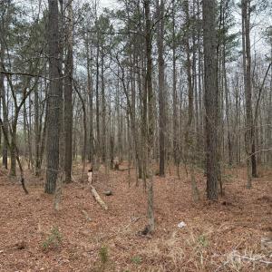Photo #7 of 6191 Chimney Bluff, Lancaster, SC